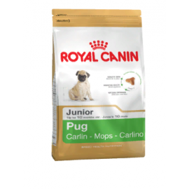 Royal Canin Pug Junior- Корм для щенков породы мопс до 10 месяцев